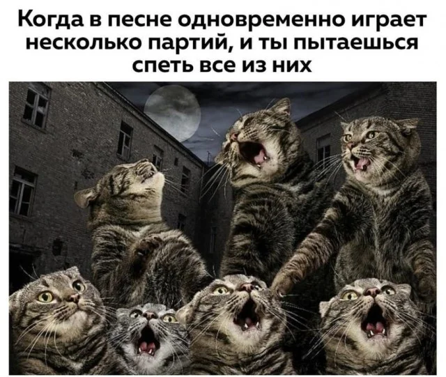 Пятничный вайб: мемы, которые развеселят пятница, юмор, мемы, приколы, настроение