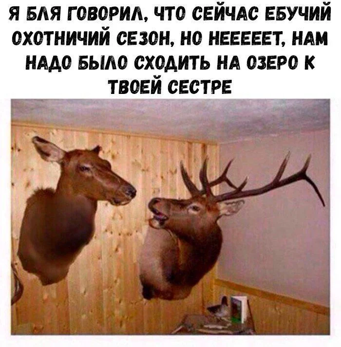Пятничный вайб: мемы, которые развеселят