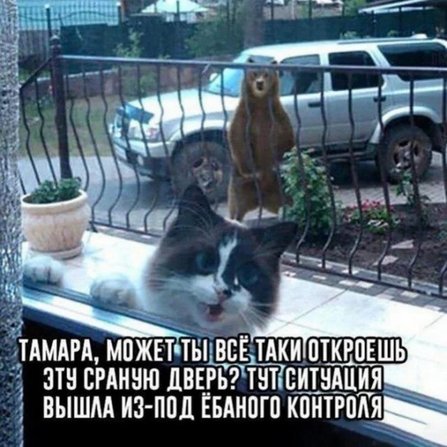 Пятничный вайб: мемы, которые развеселят пятница, юмор, мемы, приколы, настроение