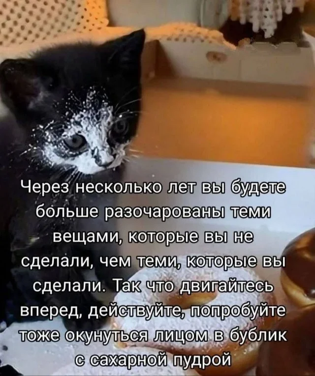 Утренние мемы: от глажки белья до тупорылой акулы Утренние мемы: от глажки белья до тупорылой акулы мемы, юмор, приколы, картинки, подборка