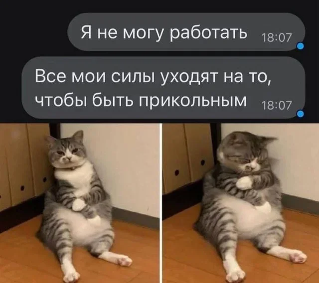 Утренние мемы: от глажки белья до тупорылой акулы Утренние мемы: от глажки белья до тупорылой акулы мемы, юмор, приколы, картинки, подборка