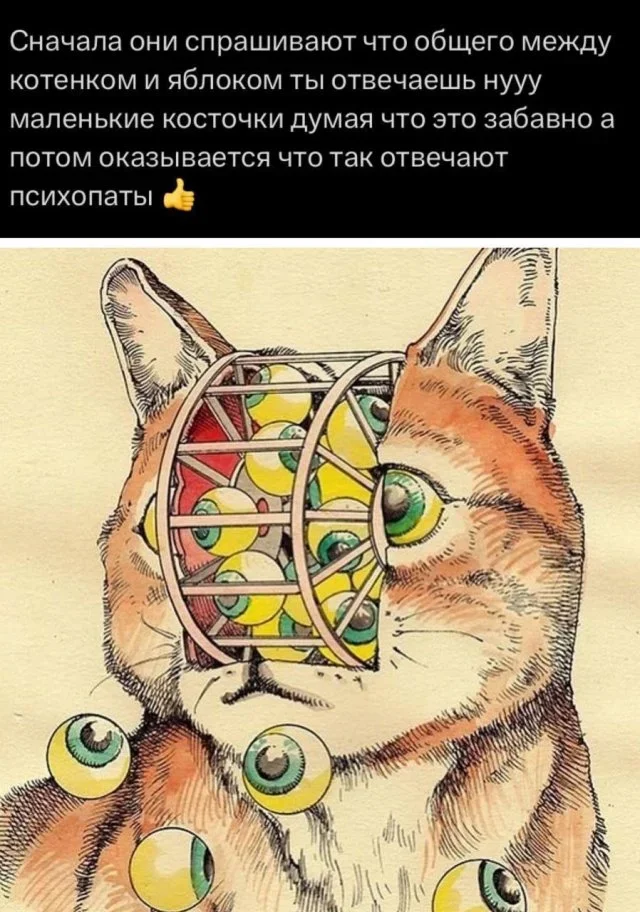 Утренние мемы: от глажки белья до тупорылой акулы Утренние мемы: от глажки белья до тупорылой акулы мемы, юмор, приколы, картинки, подборка