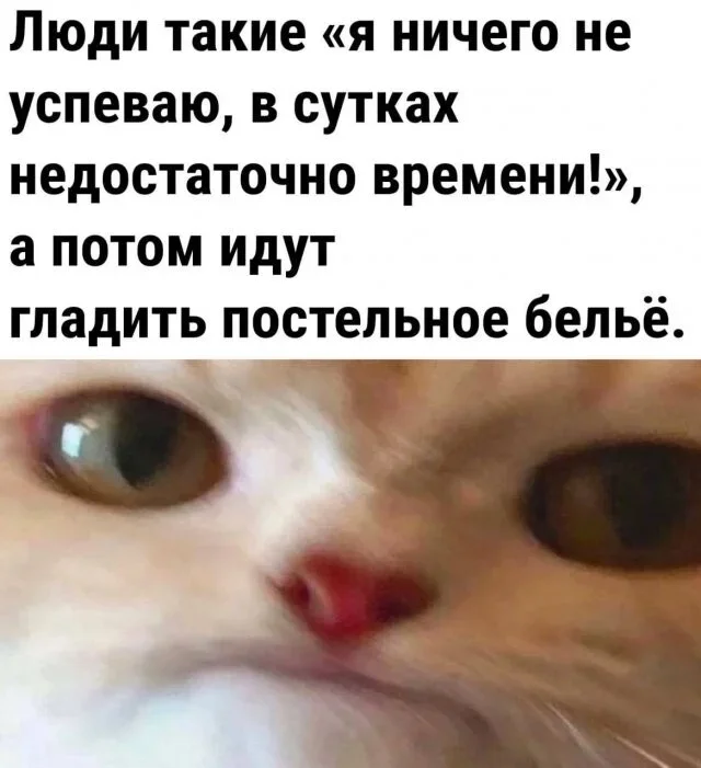 Утренние мемы: от глажки белья до тупорылой акулы