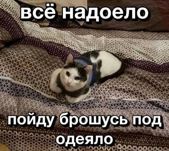 Утренние мемы: от глажки белья до тупорылой акулы Утренние мемы: от глажки белья до тупорылой акулы мемы, юмор, приколы, картинки, подборка
