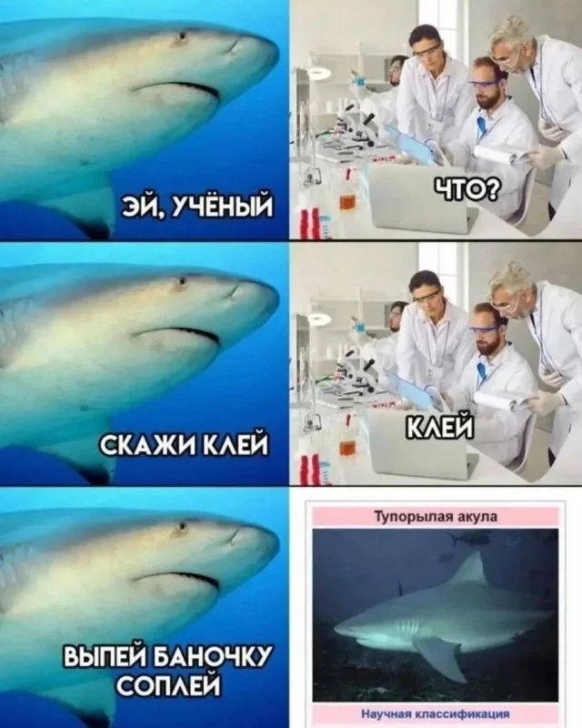 Утренние мемы: от глажки белья до тупорылой акулы Утренние мемы: от глажки белья до тупорылой акулы мемы, юмор, приколы, картинки, подборка