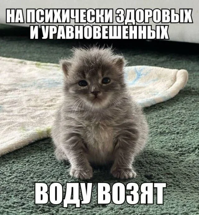 Утренние мемы: от глажки белья до тупорылой акулы Утренние мемы: от глажки белья до тупорылой акулы мемы, юмор, приколы, картинки, подборка