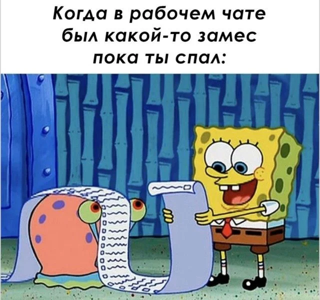 Даже кот в осадке: убойная подборка мемов Даже кот в осадке: убойная подборка мемов мемы, приколы, подборка, юмор, картинки