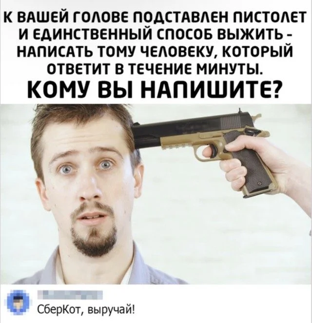 Даже кот в осадке: убойная подборка мемов Даже кот в осадке: убойная подборка мемов мемы, приколы, подборка, юмор, картинки