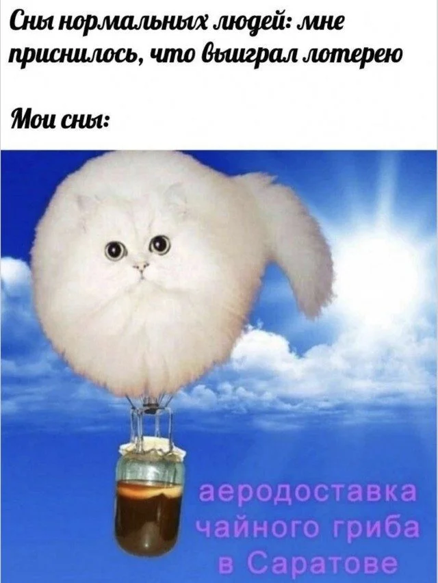 Юмор без предупреждения Юмор без предупреждения мемы, приколы, юмор, смешные картинки, подборка