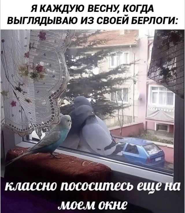 Юмор без предупреждения Юмор без предупреждения мемы, приколы, юмор, смешные картинки, подборка