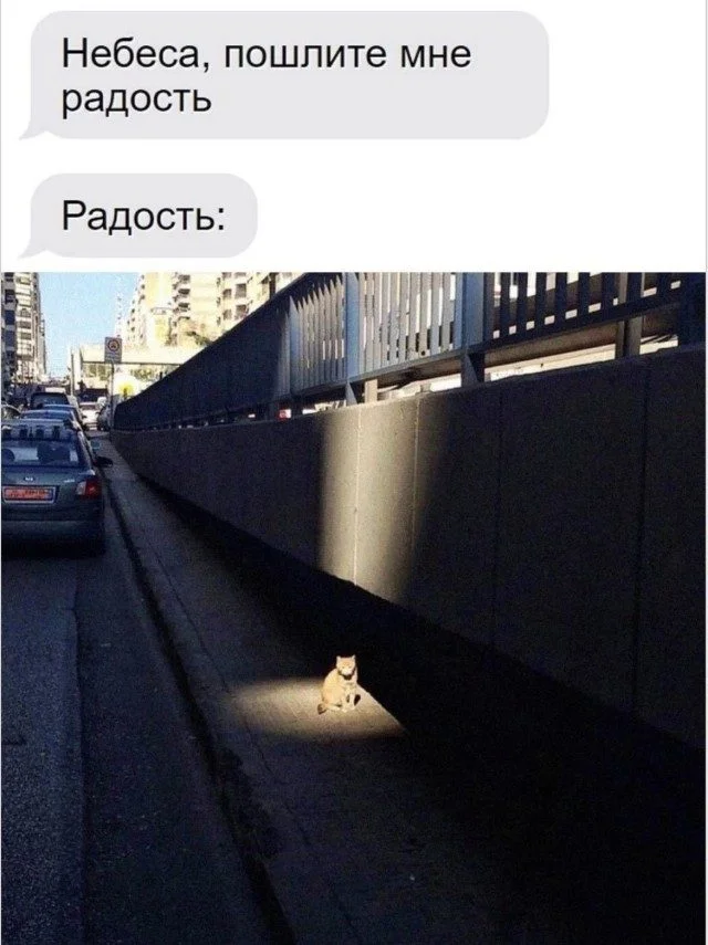 Юмор без предупреждения Юмор без предупреждения мемы, приколы, юмор, смешные картинки, подборка