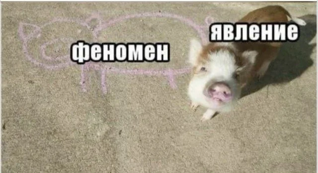 Юмор без предупреждения Юмор без предупреждения мемы, приколы, юмор, смешные картинки, подборка