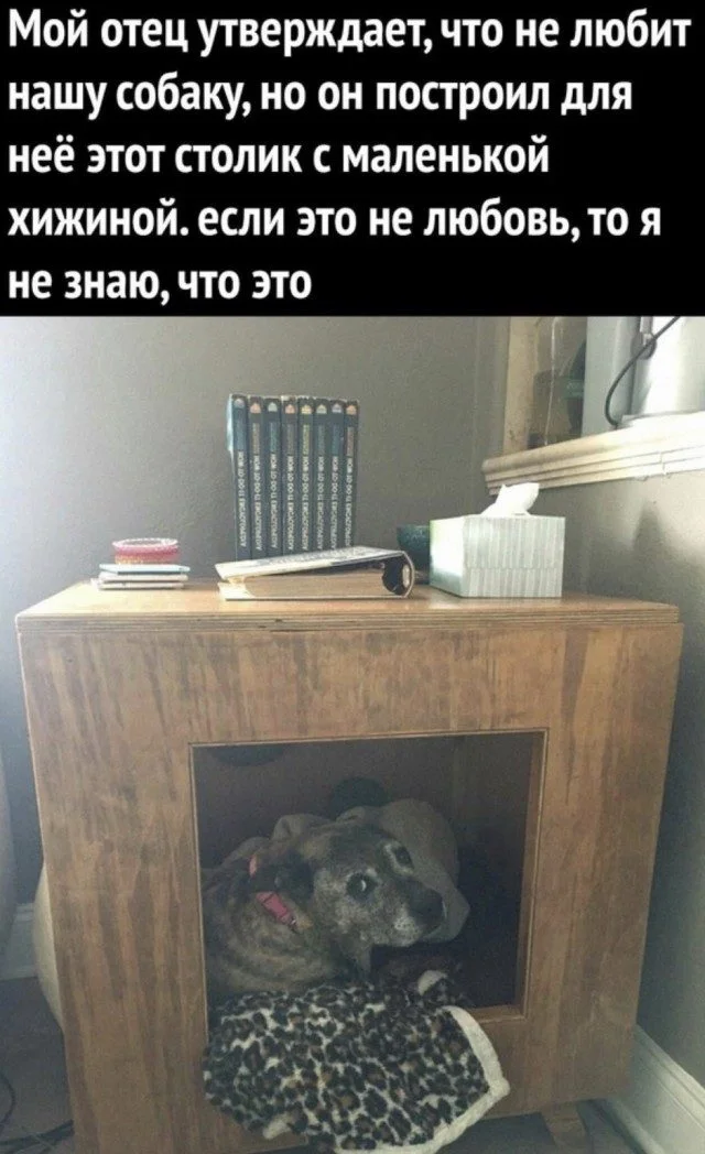Юмор без предупреждения Юмор без предупреждения мемы, приколы, юмор, смешные картинки, подборка