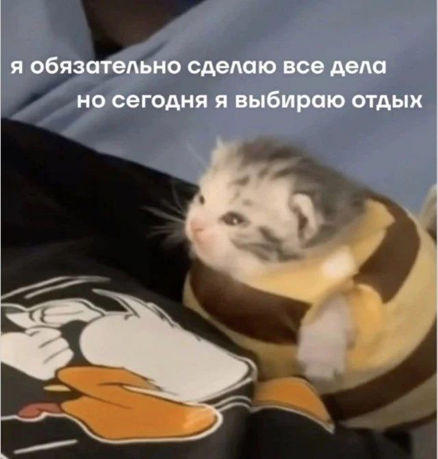 Мозг в отключке: угарная подборка мемов Мозг в отключке: угарная подборка мемов мемы, приколы, юмор, картинки