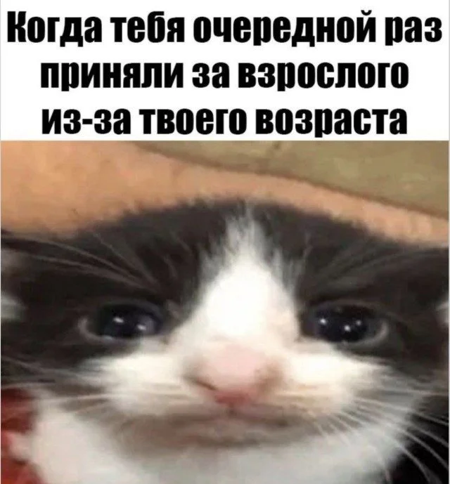 Мозг в отключке: угарная подборка мемов