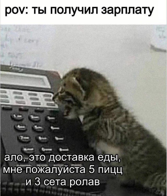Мозг в отключке: угарная подборка мемов Мозг в отключке: угарная подборка мемов мемы, приколы, юмор, картинки