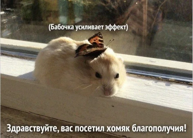 Мозг в отключке: угарная подборка мемов Мозг в отключке: угарная подборка мемов мемы, приколы, юмор, картинки