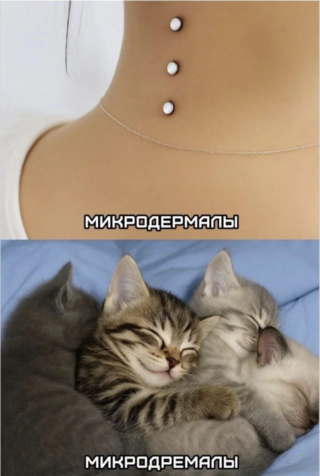 Мозг в отключке: угарная подборка мемов Мозг в отключке: угарная подборка мемов мемы, приколы, юмор, картинки