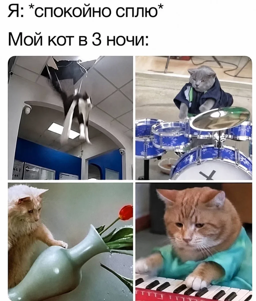 Порция хорошего настроения Порция хорошего настроения юмор, приколы, мемы, подборка
