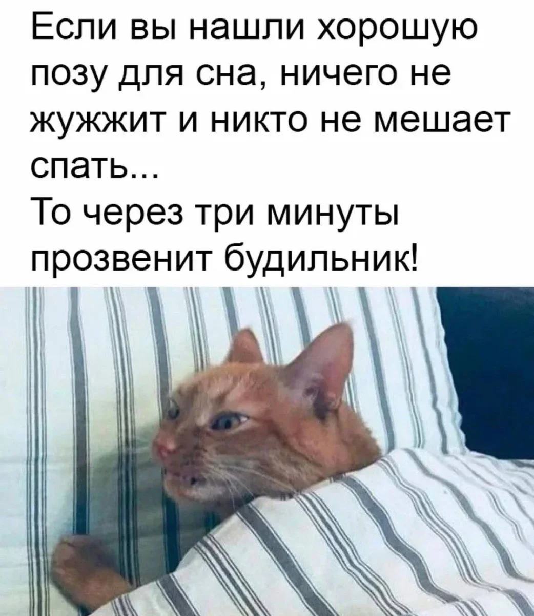Порция хорошего настроения Порция хорошего настроения юмор, приколы, мемы, подборка