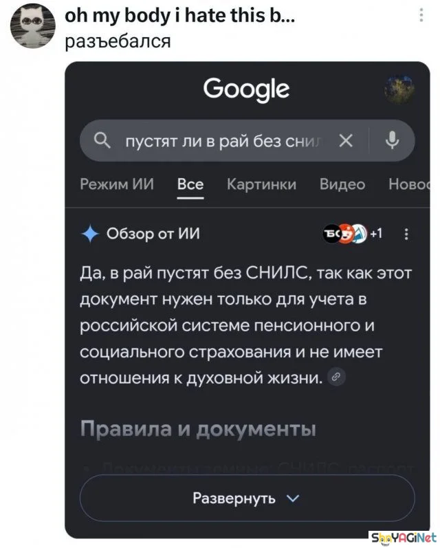 Смех сквозь слезы: убойные комментарии из соцсетей юмор, комментарии, соцсети, приколы, смешное