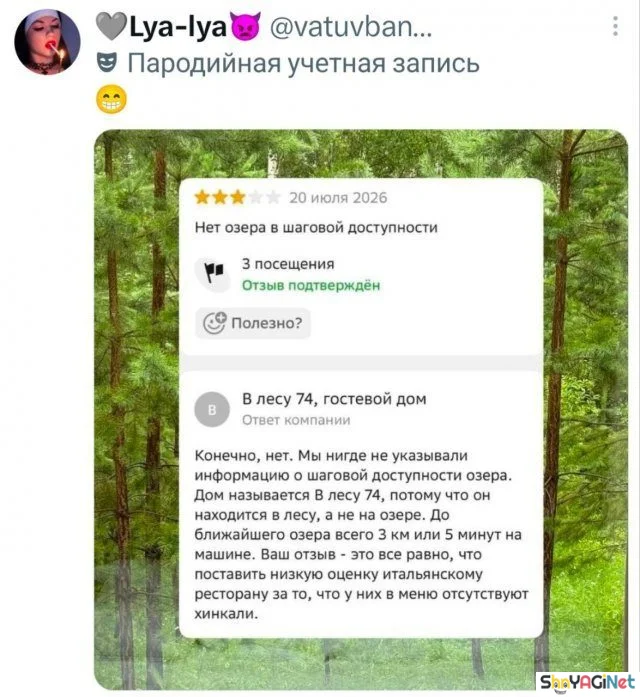 Смех сквозь слезы: убойные комментарии из соцсетей юмор, комментарии, соцсети, приколы, смешное