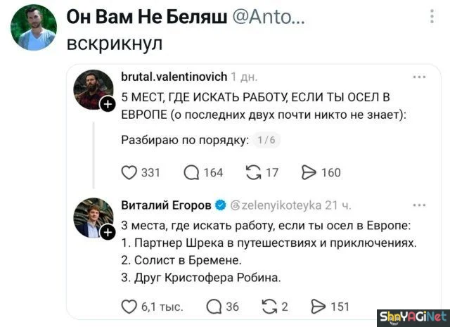 Смех сквозь слезы: убойные комментарии из соцсетей юмор, комментарии, соцсети, приколы, смешное