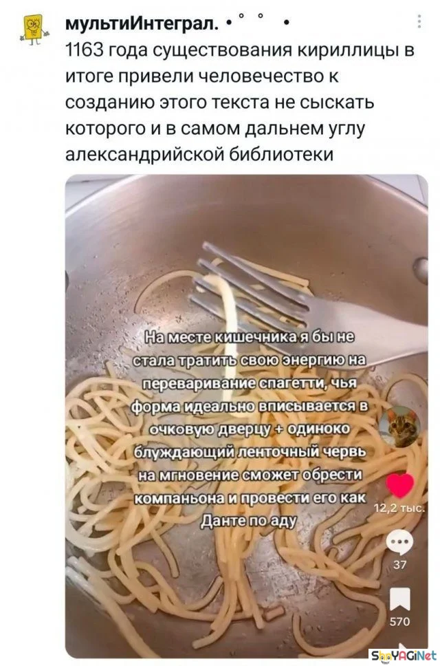 Смех сквозь слезы: убойные комментарии из соцсетей юмор, комментарии, соцсети, приколы, смешное
