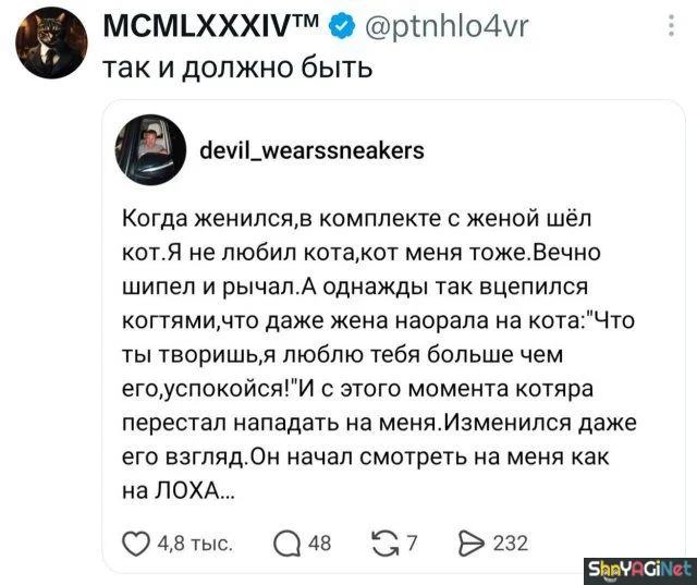 Смех сквозь слезы: убойные комментарии из соцсетей юмор, комментарии, соцсети, приколы, смешное