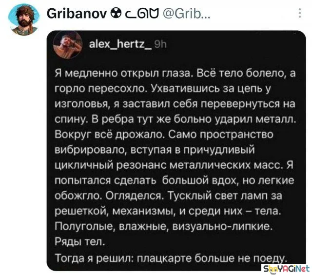 Смех сквозь слезы: убойные комментарии из соцсетей юмор, комментарии, соцсети, приколы, смешное