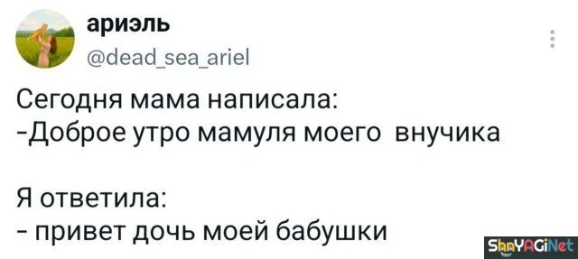 Смех сквозь слезы: убойные комментарии из соцсетей юмор, комментарии, соцсети, приколы, смешное