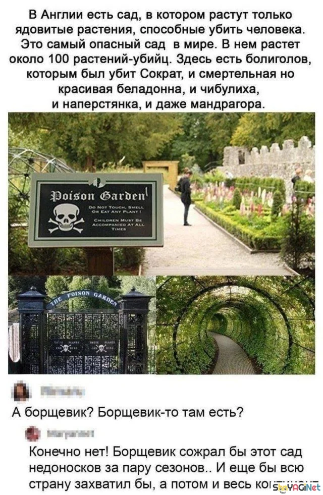 Смех сквозь слезы: убойные комментарии из соцсетей юмор, комментарии, соцсети, приколы, смешное