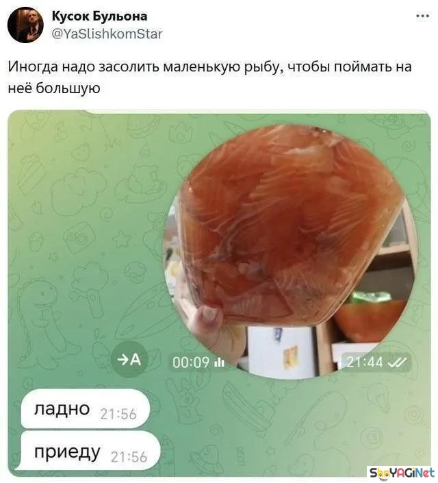 Смех сквозь слезы: убойные комментарии из соцсетей юмор, комментарии, соцсети, приколы, смешное
