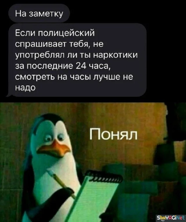 СМС-приколы: угарная подборка переписок СМС-приколы: угарная подборка переписок приколы, смс, юмор, переписки