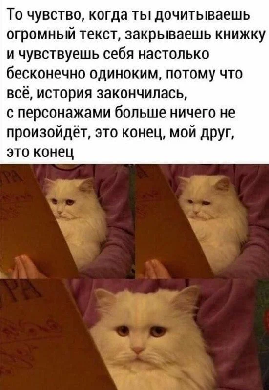 Юмор для отличного настроения юмор, мемы, приколы, картинки, подборка