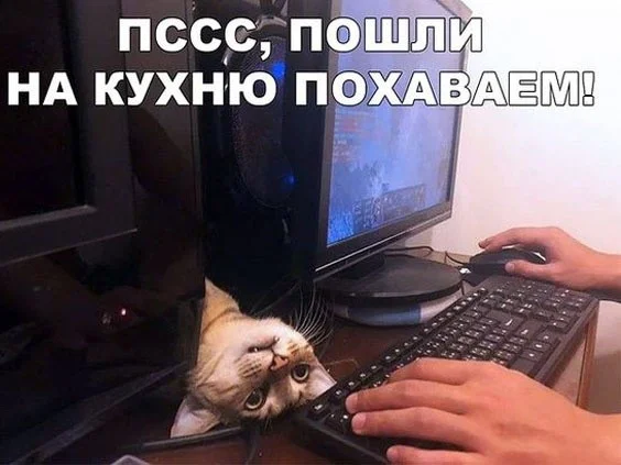Юмор для отличного настроения юмор, мемы, приколы, картинки, подборка