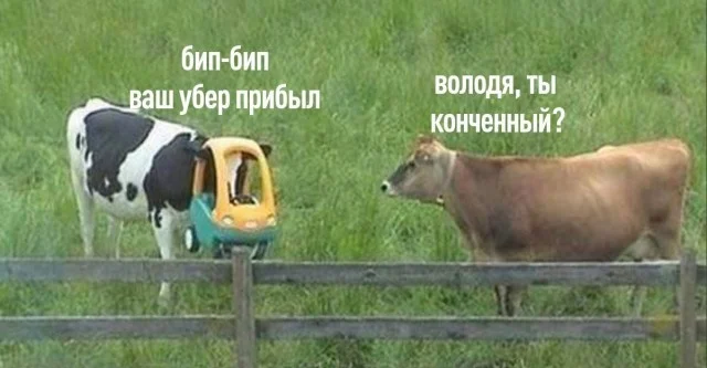 Юмор для отличного настроения юмор, мемы, приколы, картинки, подборка