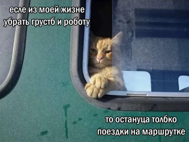 Юмор для отличного настроения юмор, мемы, приколы, картинки, подборка