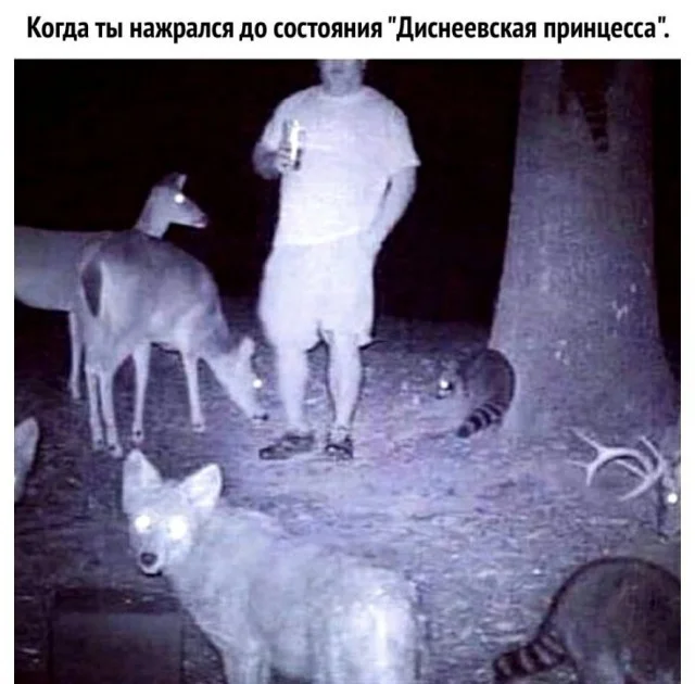 Юмор для отличного настроения юмор, мемы, приколы, картинки, подборка
