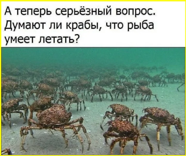Гречневая диета довела до разговоров с Лукашенко Гречневая диета довела до разговоров с Лукашенко гречка, диета, галлюцинации, мемы, юмор, приколы