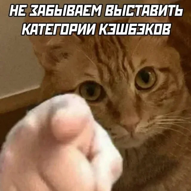 Субботний юмор: 23 мема для отличного настроения мемы, приколы, юмор, подборка