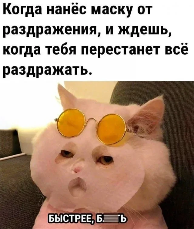 Субботний юмор: 23 мема для отличного настроения мемы, приколы, юмор, подборка
