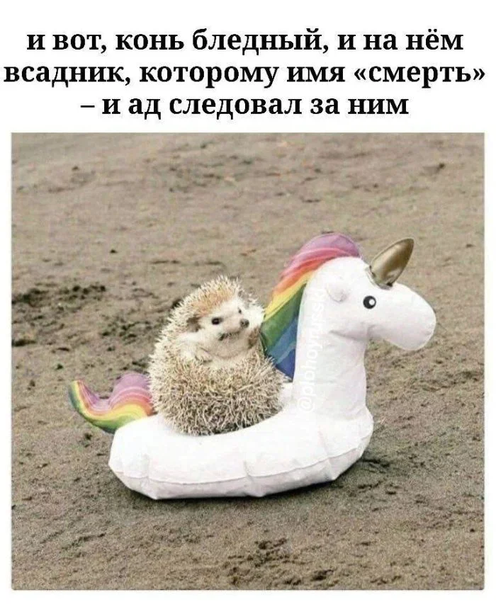 Субботний юмор: 23 мема для отличного настроения мемы, приколы, юмор, подборка