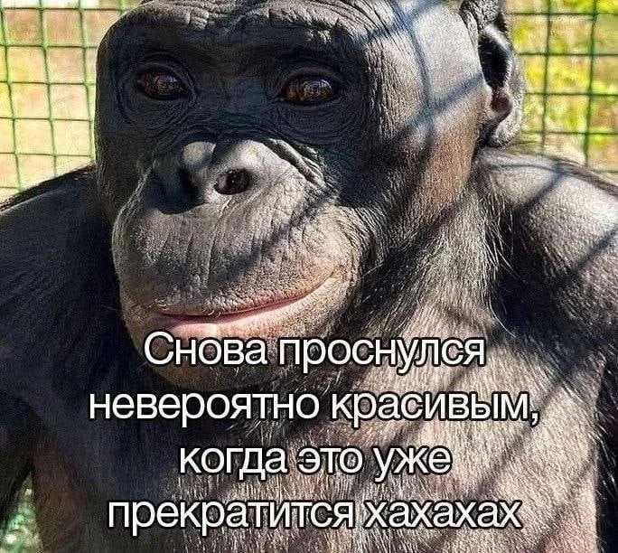 Субботний юмор: 23 мема для отличного настроения мемы, приколы, юмор, подборка
