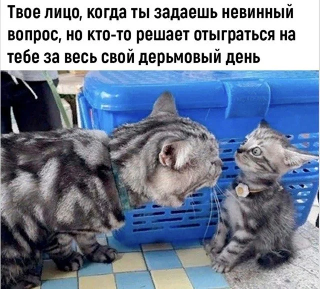 Юмор, который не спрашивает разрешения мемы, приколы, юмор, подборка