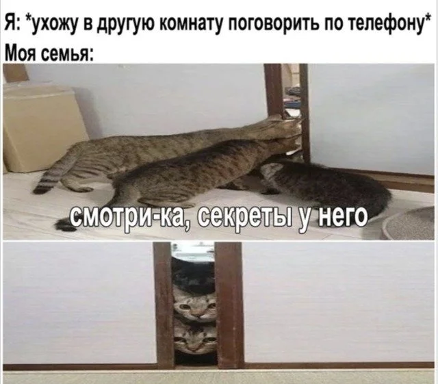 Кастинг на роль главного клоуна: кто победит? Кастинг на роль главного клоуна: кто победит? клоуны, кастинг, приколы, подборка, фото, смешное