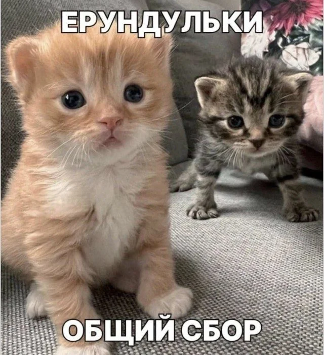 Мемоделы выложили новую партию угара Мемоделы выложили новую партию угара мемы, приколы, подборка