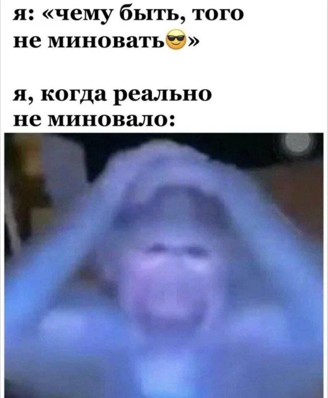 Мемоделы выложили новую партию угара Мемоделы выложили новую партию угара мемы, приколы, подборка