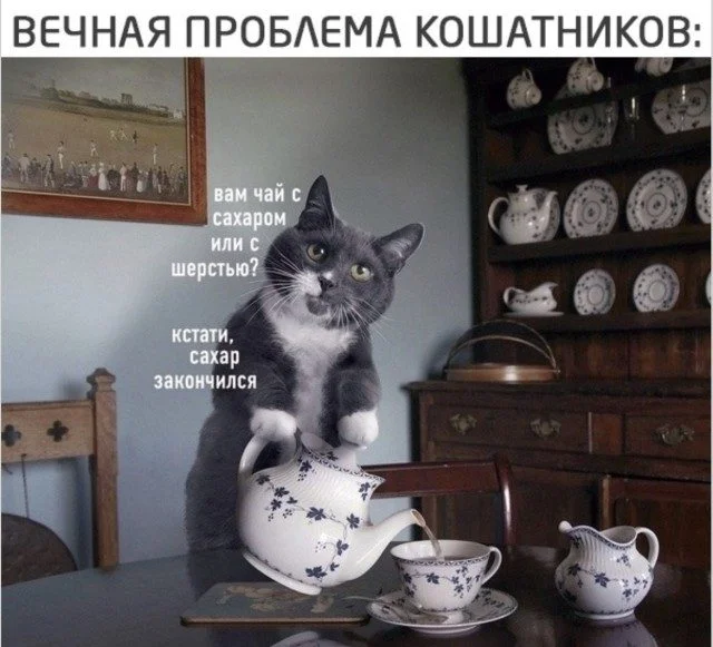Мемоделы выложили новую партию угара Мемоделы выложили новую партию угара мемы, приколы, подборка