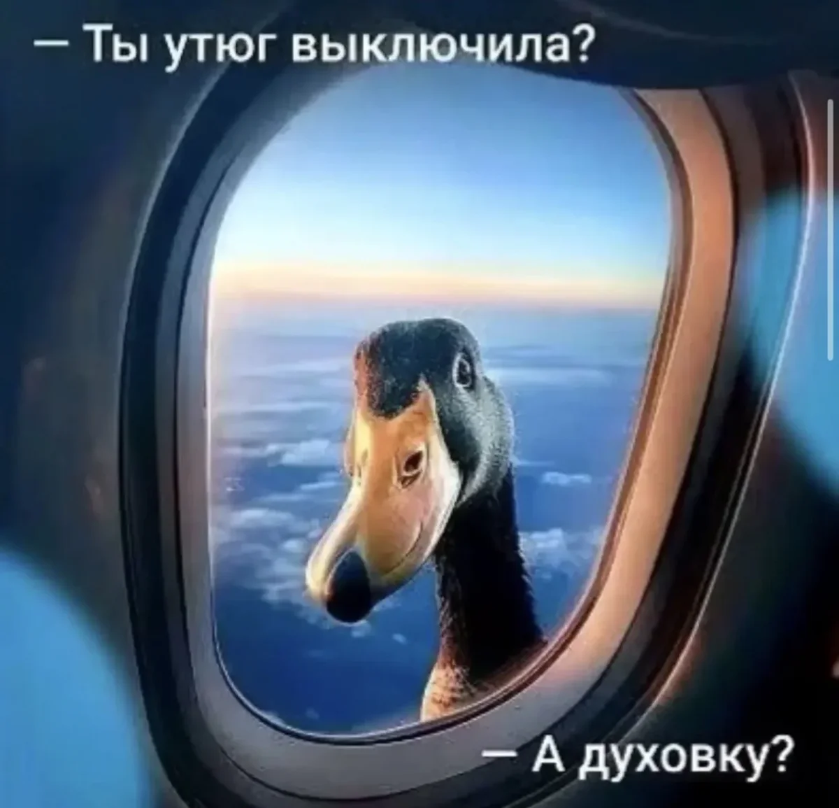 Вечерний юмор: лучшие мемы и приколы этой субботы Вечерний юмор: лучшие мемы и приколы этой субботы юмор, мемы, приколы, подборка, картинки